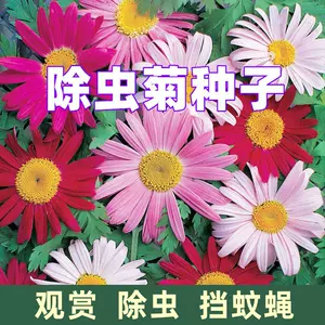 除虫菊 Top 10万件除虫菊 22年12月更新 Taobao