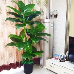 万年青植物盆栽 新人首单立减十元 22年10月 淘宝海外