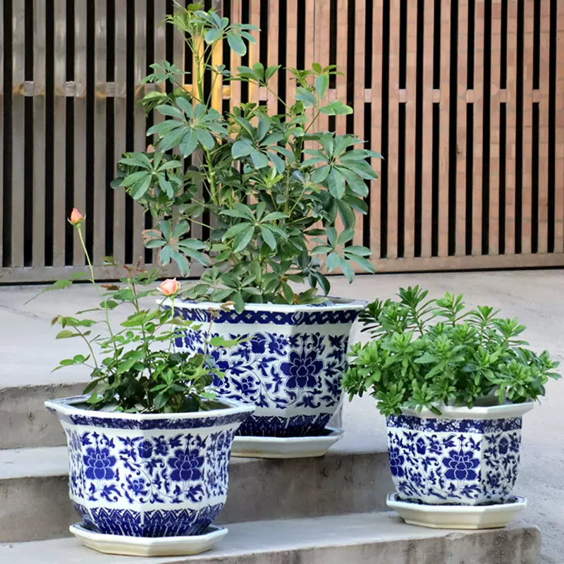 万年青陶瓷花盆 新人首单立减十元 22年9月 淘宝海外