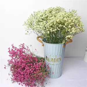 小米花干 新人首单立减十元 22年9月 淘宝海外