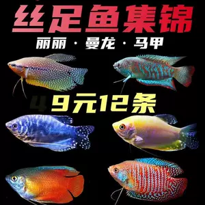 小型熱帶魚批發 Top 5萬件小型熱帶魚批發 22年12月更新 Taobao