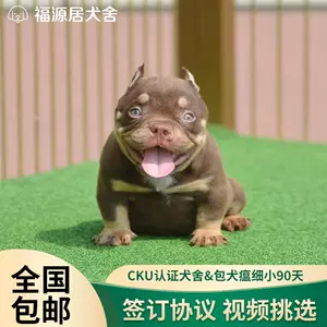 恶霸犬幼 新人首单立减十元 22年10月 淘宝海外