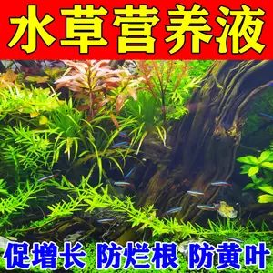 水草肥料液肥鱼缸 新人首单立减十元 22年10月 淘宝海外