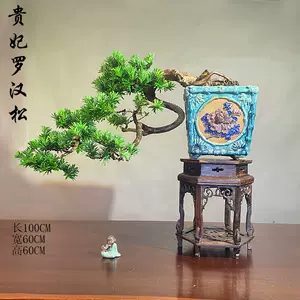 花草植物盆栽室内 Top 30万件花草植物盆栽室内 22年12月更新 Taobao 花草植物盆栽室内 Top 30万件花草植物盆栽室内 22年12月更新 Taobao