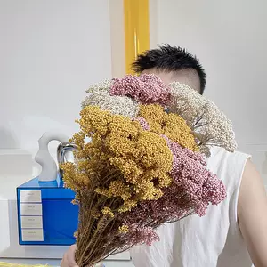 永生小米花 新人首单立减十元 22年9月 淘宝海外