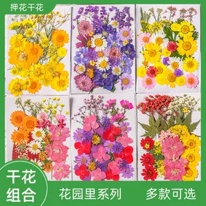 押花diy材料 Top 6萬件押花diy材料 23年1月更新 Taobao