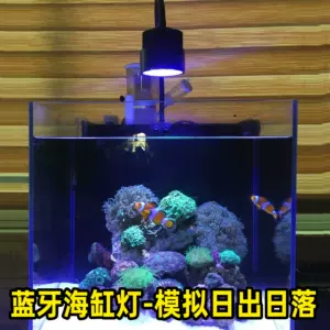 海水珊瑚燈 新人首單立減十元 22年10月 淘寶海外