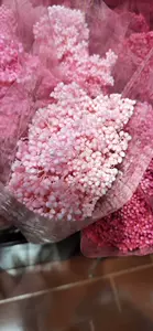 永生小米花 Top 4000件永生小米花 22年12月更新 Taobao