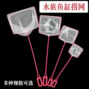 金鱼捞子 新人首单立减十元 22年10月 淘宝海外