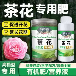 有机茶花 新人首单立减十元 22年9月 淘宝海外