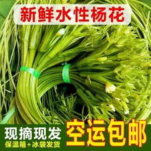 水菜花 Top 3000件水菜花 22年12月更新 Taobao
