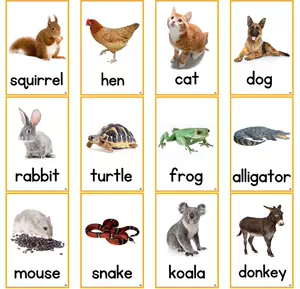 英語閃卡動物 Top 0件英語閃卡動物 23年1月更新 Taobao