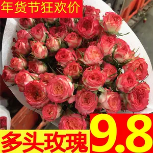 母亲节鲜花小花束 Top 1万件母亲节鲜花小花束 23年1月更新 Taobao