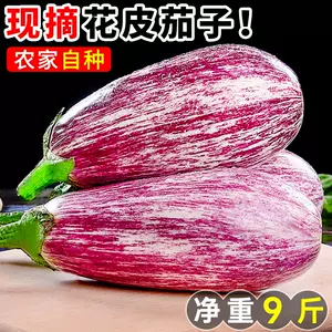 花茄子 Top 3000件花茄子 22年12月更新 Taobao