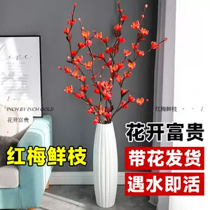 真梅花树 Top 5000件真梅花树 23年1月更新 Taobao