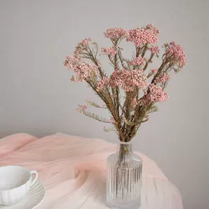 小米花永生花 新人首單立減十元 22年9月 淘寶海外