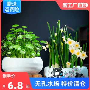 水生植物盆 Top 10萬件水生植物盆 22年12月更新 Taobao 水生植物盆 Top 10萬件水生植物盆 22年12月更新 Taobao