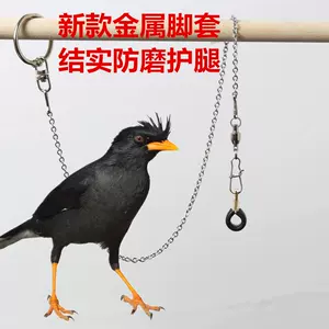 脚环鸟足环 新人首单立减十元 22年9月 淘宝海外