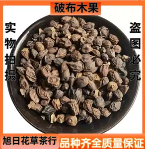 破布子 新人首单立减十元 22年9月 淘宝海外