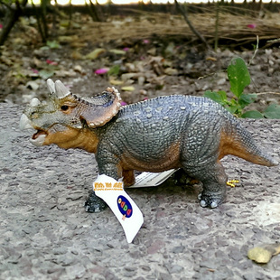 原装正品法国papo恐龙模型三角龙幼崽三角龙宝宝儿童玩具无毒无味