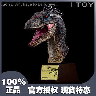 itoy - itoy优惠券 - 麦米网