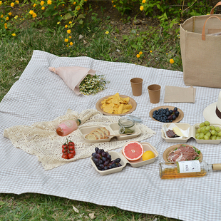 hellowhale浅色格子野餐垫ins风公园野餐布防水野餐地布轻薄便携