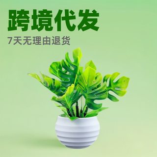 Simulation Green Plant Bonsai Office Desktop Tortoise Leaf Potted Living Room Decoration Fake Flower Simulation Plant Home Decoration