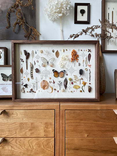 発掘品？蝶の装飾アート 木製フレーム付き 発掘品？蝶の装飾アート 木製フレーム付き