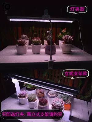 灯架90w日光种植箱单排多肉植物补光灯家用落地架