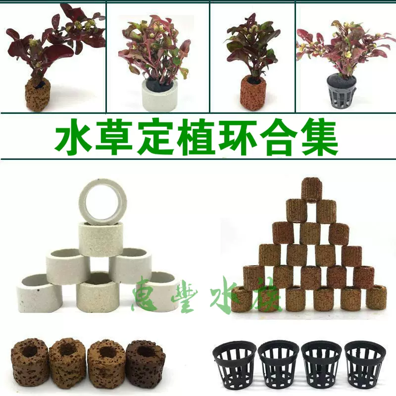 陶瓷水草定植环鱼缸造景植定种滤c环盆篮杯固定环弱酸过植培菌滤