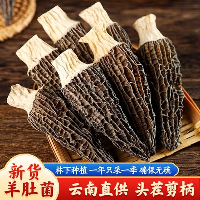 2026年4月9日更新【万能白菜价】的图片 第6张