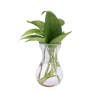 Simple glass vase Wind Shinzi Transparent Vase Office Desktop Hydroponic Green Vegetable Living Room decorative ornaments