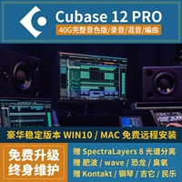 Cubase12pro 40g Китайская полная версия Music Production Software 11pro win/mac Win/Mac
