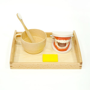 
Montessori teaching aids 2-year-old children's teeth brushing and washing set early education educational tooth model kindergarten cognitive teeth enlightenment