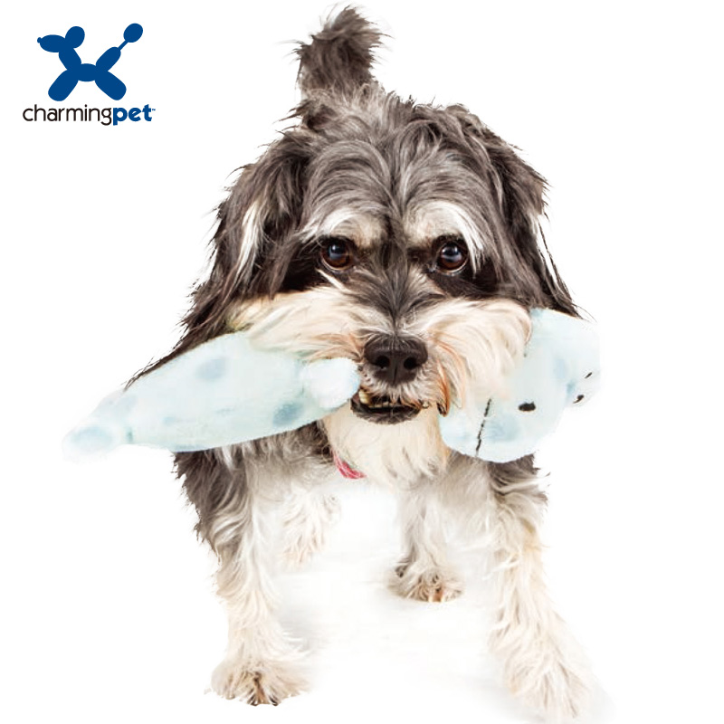 CharmingPet狗狗玩具宠物用品毛绒玩具泰迪金毛耐咬磨牙 狗玩具