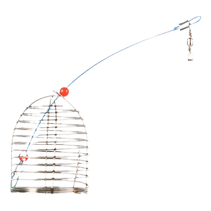 
Black pit cannon golden bell cover nest cage stainless steel fixed-point precision nest cage bait cage fishing silver carp bighead carp fishing cage