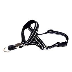 Labrador anti-bite and anti-barking training muzzle