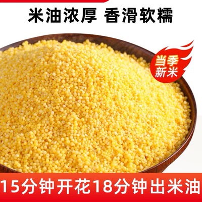 2026年5月1日更新【万能白菜价】的图片 第12张