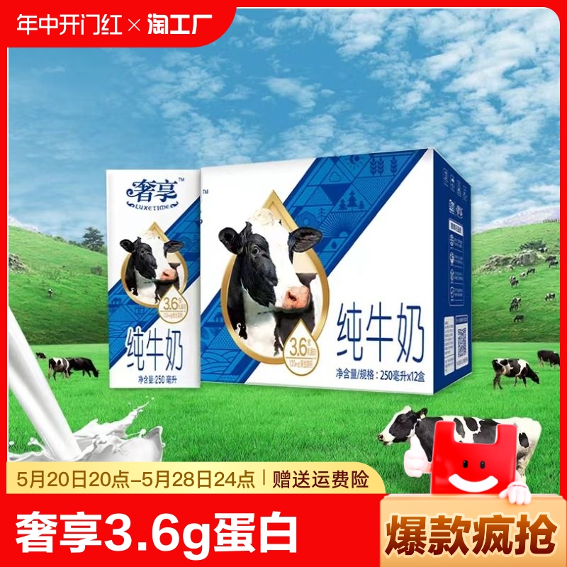 Huishan 辉山 奢享 3.6g乳蛋白 纯牛奶 250ml*12盒