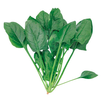 Vegetables Four Seasons Sprinkle Spinach Seeds