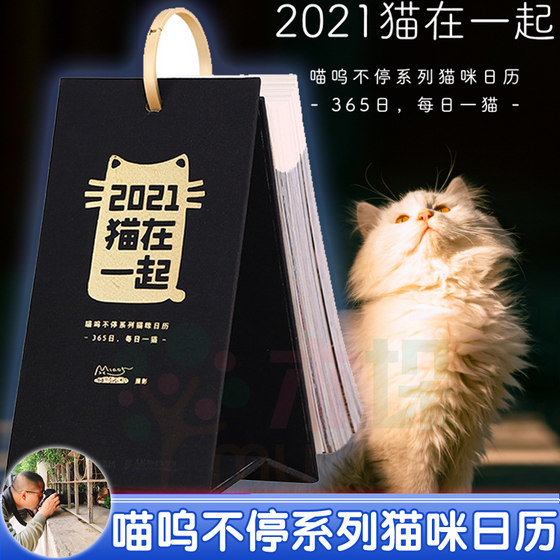 2021猫在一起 喵呜不停日历 黑色版彩色印刷知名街猫摄影师主题猫咪日历手账猫咪摄影画册 皇城猫语四季猫影故宫猫日历2021年台历