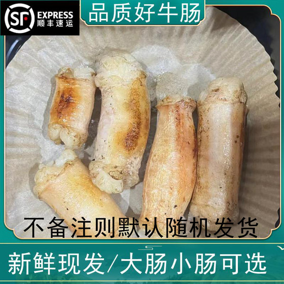 生牛肠新鲜肥肠牛大肠牛肠牛杂韩式牛肠烧烤火锅食材大肠小肠可选