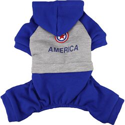 Pet Clothing Spring and Autumn Style Dog VIP