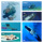 Waydoo Subnado Underwater Propeller-Фридайвинг, легкое подводное плавание, сноркелинг, бассейн, доска для подводного плавания с веслом. mini 4