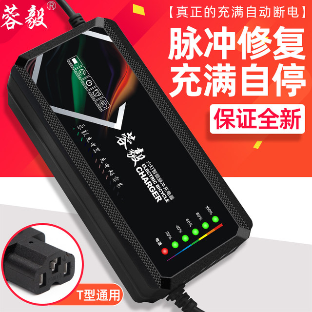 原装电动车充电器48V12AH20AH60V72伏爱玛雅迪台铃电车石墨烯通用