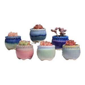 Free shipping succulent pots special offer clearance rough pottery pneumatic water absorption basin old pile basin large -caliber group raw pot creative purple sand