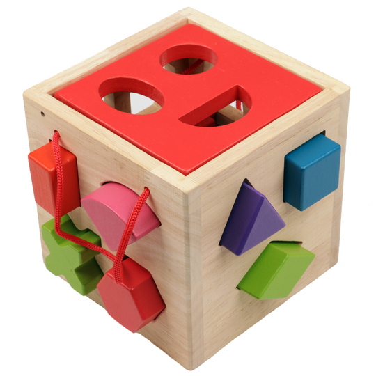 Montessori Wooden Shape Sorter Toy