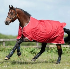 попона 欧洲进口春秋防水马衣披肩毛毯马场马术骑马教学马具骑乘装备
