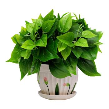 Set of flowers and plants for home living room and office simulated green plants
