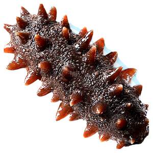 
Sea cucumber ready-to-eat fresh Liao sea cucumber dry goods sea cucumber three pregnant women gift box 500g special price with a pack